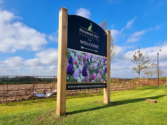 Photo of freestanding signs